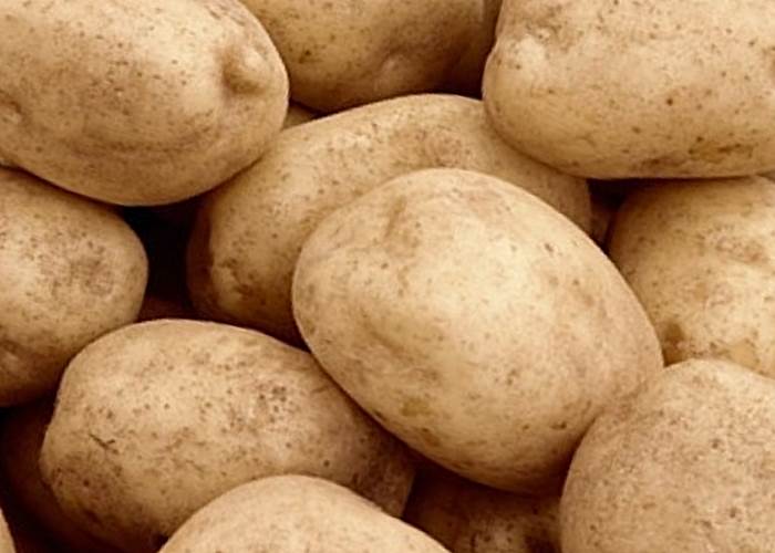 Сорт картофеля Тулеевский: фото, характеристика, отзывы