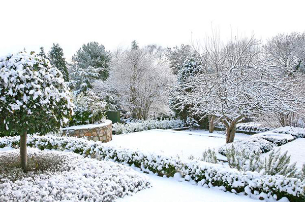 Чем опасен снег для огорода и как защитить свой сад