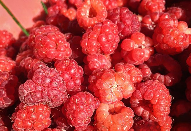 Гликемический индекс малины: свежей, замороженной, в варенье, желтых и красных ягод