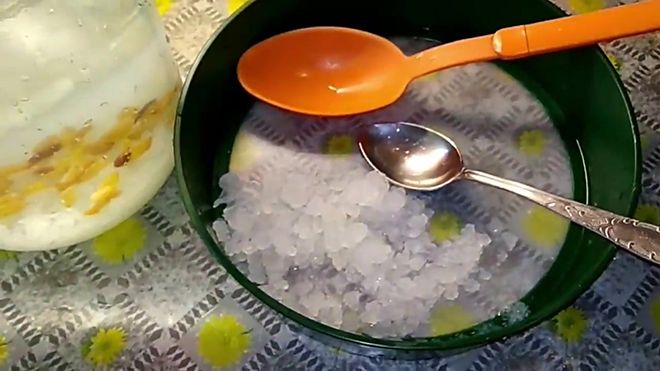 Индийский морской рис полезные свойства и противопоказания, отзывы специалистов