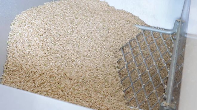 Как делают воздушный рис, польза и вред для здоровья, возможные противопоказания