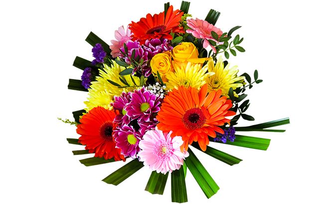 Красивые картинки ромашек, букеты и цветки различных видов и цветов