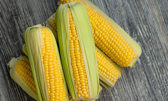 Кукуруза консервированная калорийность на 100 грамм, сколько калорий в вареном виде