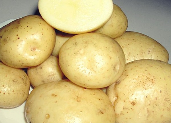 Сорт картофеля Эстрелла: фото, характеристика, отзывы