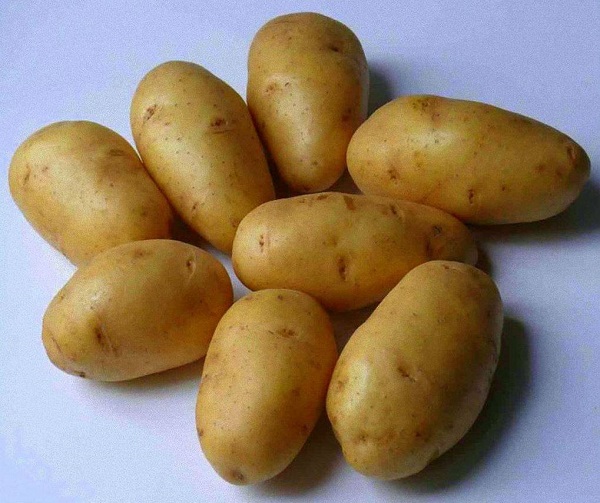 Сорт картофеля Лорх: фото и описание